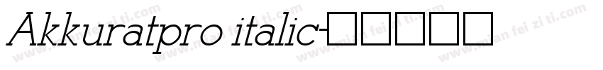 Akkuratpro italic字体转换